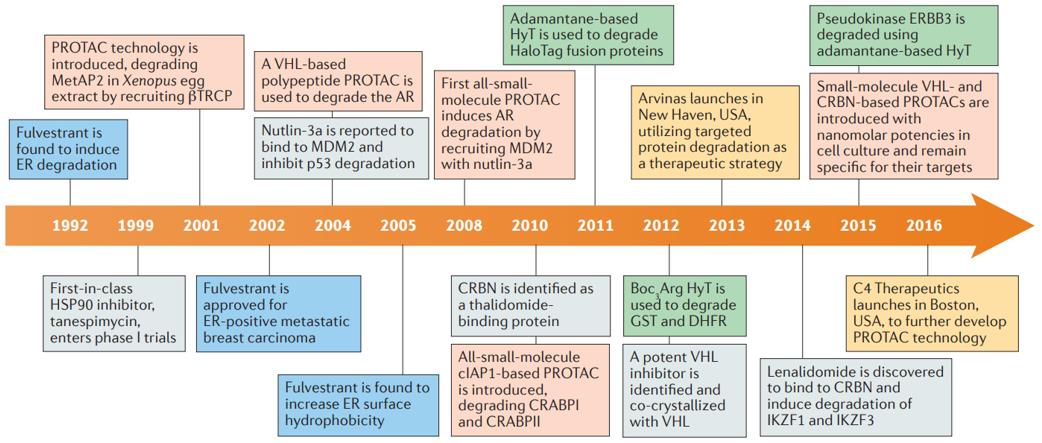 Timeline of the induced protein degradation field