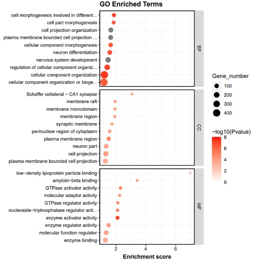 Fig1. Result of GO enrichment analysis.