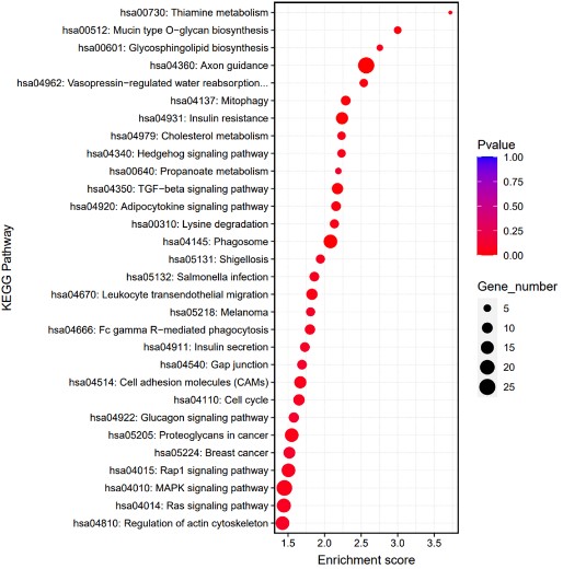 Fig2. Result of KEGG pathway analysis.