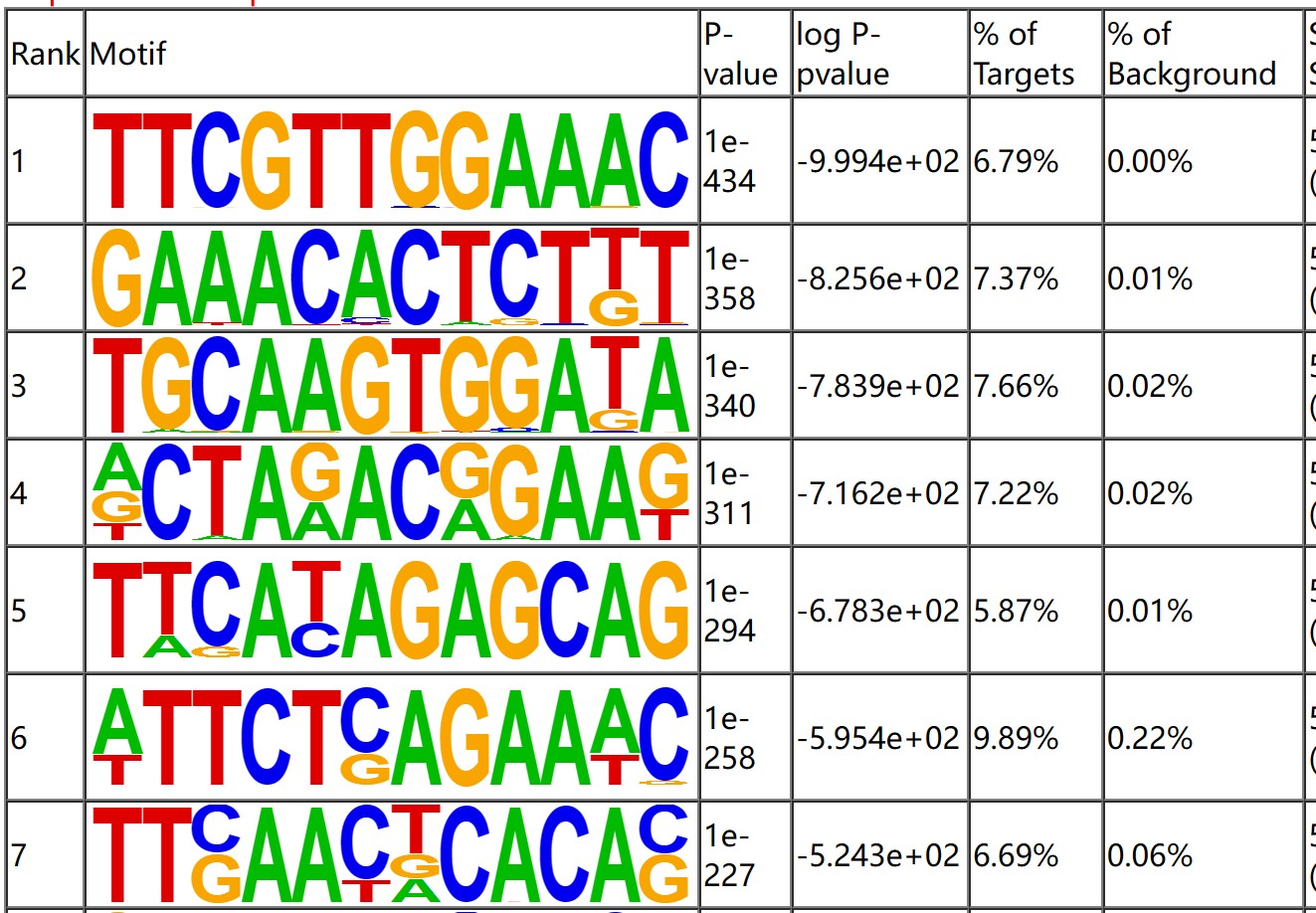 Fig3. Result of Motif analysis.