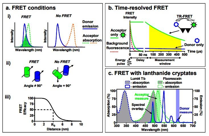 Principles of FRET and TR-FRET