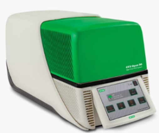 Bio-RAD CFX 96 Real-Time PCR Systems